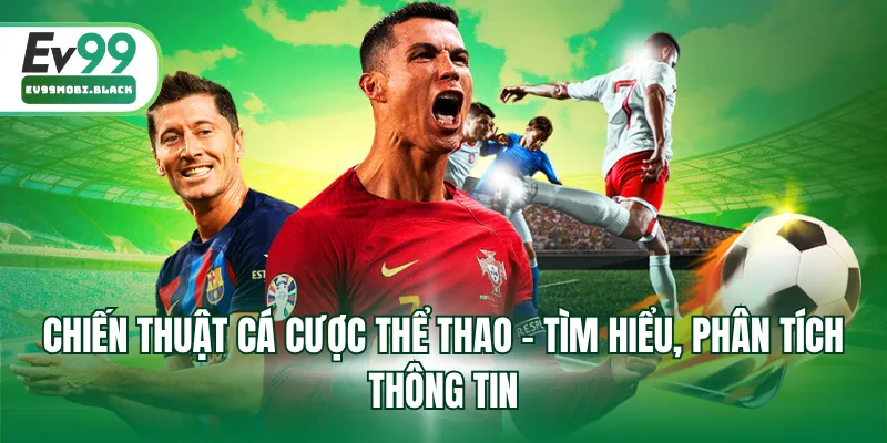 Chiến thuật cá cược thể thao - Tìm hiểu, phân tích thông tin