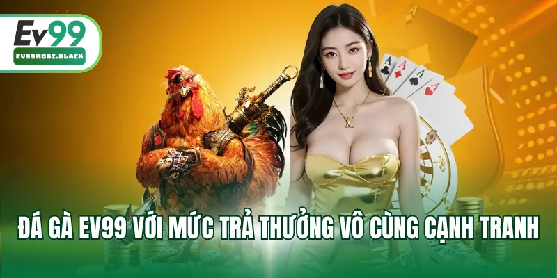 Đá gà EV99 với mức trả thưởng vô cùng cạnh tranh