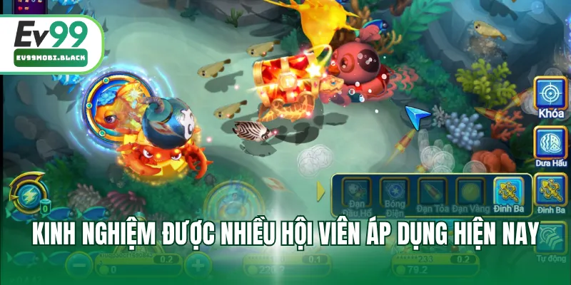 Kinh nghiệm được nhiều hội viên áp dụng hiện nay