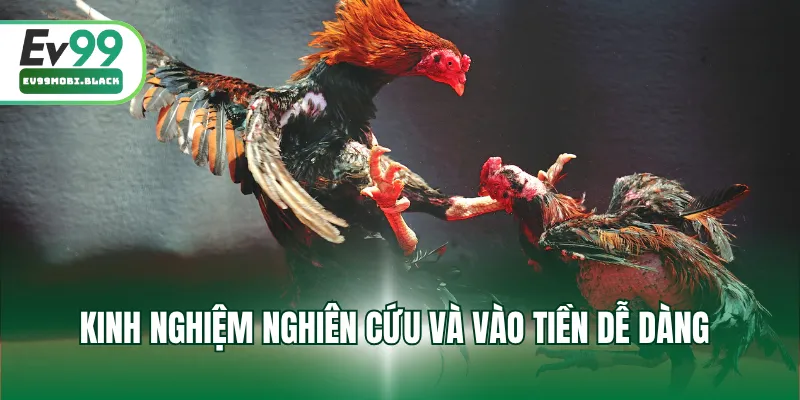 Kinh nghiệm nghiên cứu và vào tiền dễ dàng