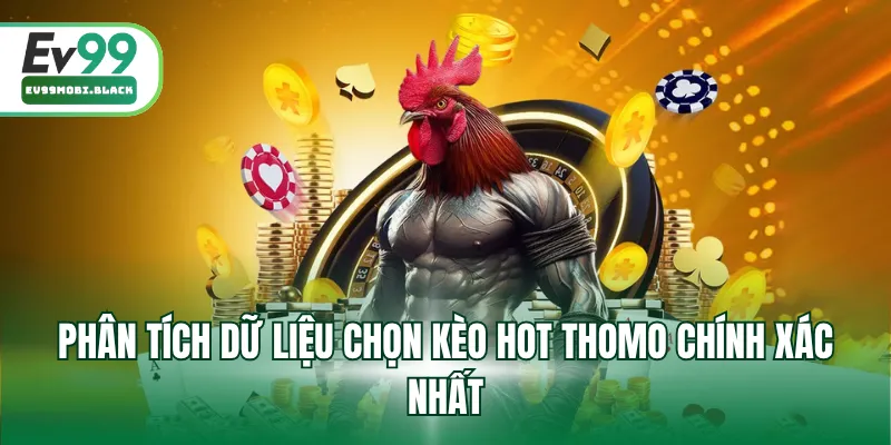 Phân tích dữ liệu chọn kèo hot Thomo chính xác nhất